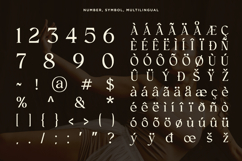 Clony - Elegant Ligature Serif Product Image 10