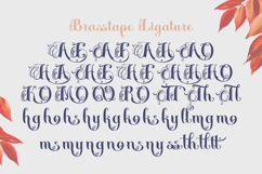 Brasstape Decorative Script Product Image 10