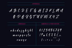 Austtone - Brush Font Product Image 10