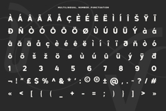 Xerihal - Geometric Swash Sans Font Product Image 10
