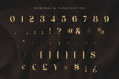 Flangel - Luxury Serif Font Product Image 10