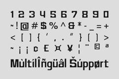 Nerlios - Stylish Ligature Font Product Image 9