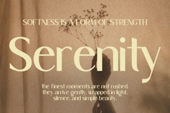 Rythm - Modern Elegance Serif Font Product Image 10
