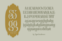 Dasimyra Antique typeface Product Image 10