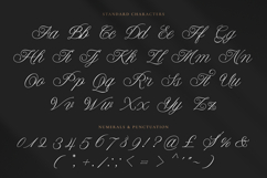 Berseka - Calligraphy Script Font Product Image 10