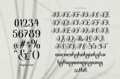 Maffisoy Script Product Image 10