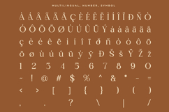 Moistly Vengions - Modern Serif Font Product Image 10