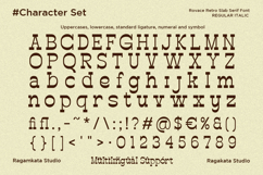 Rovace - Retro Slab Serif Font Product Image 10