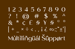 Miluno - Elegant Sans Serif Product Image 10