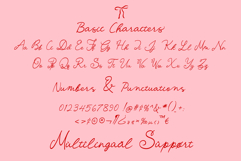 Sparkle Cheers | Whimsical Handwritten Script Product Image 10