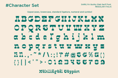 Sarilya - Quirky Slab Serif Product Image 10