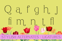 Qamora - Modern Elegant Serif Font Product Image 10
