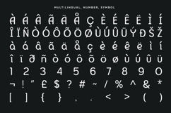 Axgensans - 9 Variable Modern Sans Font Product Image 10