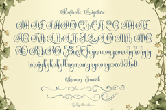 Bafirolic Classic Script Product Image 10
