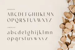 Chicago - Classy Luxury Logo Font Product Image 10