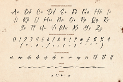 Streaklines - Dry Brush Script Font Product Image 10