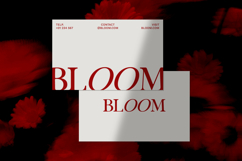 Serefine - Elegant &amp; Romantic Serif Product Image 10
