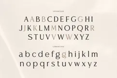 Flavour - Modern Luxury Sans Serif Product Image 10