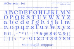 Laveno Qualine - Playful Serif Font Product Image 10