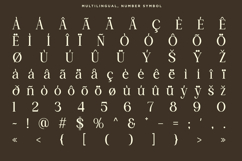 Avoleina - Luxury Serif Font Product Image 10
