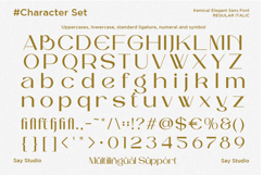 Kemical - Luxury Ligature Sans Serif Font Product Image 10