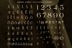 Soluga - Luxury Elegant Serif Product Image 10