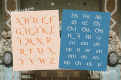 Honera || modern font duo Product Image 10