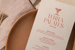 Bryn Vogue - Elegant Modern Serif Product Image 10