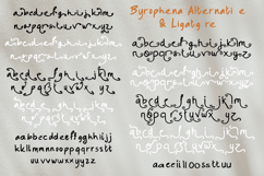 Byrophena Brush Fontduo Product Image 10