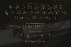 Rosther Golden - Handwritten Script Font Product Image 10