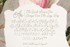 Elegant Rings - Dreamy Script Fonts Product Image 10