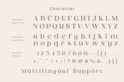 Caluxe Modern Luxury Serif Logo Font Product Image 11