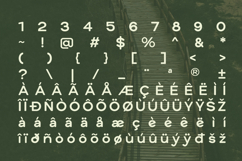 Heroxin - Monoline Ligature Font Product Image 10