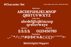 Fareza - Modern Serif Font Product Image 10
