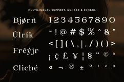 Briska - Modern Ligature Serif Product Image 10