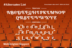 Fareza - Modern Serif Font Product Image 11