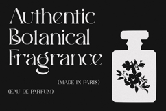 Soft Quota - Timeless Elegant Serif Product Image 5