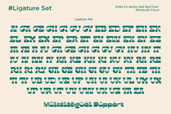 Sarilya - Quirky Slab Serif Product Image 11