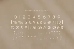 Flavour - Modern Luxury Sans Serif Product Image 11