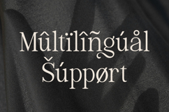 Luxeline - Stylish Elegant Font Product Image 11