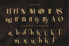 Flangel - Luxury Serif Font Product Image 11