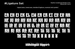 Rayllon - Condensed Modern Font Product Image 11
