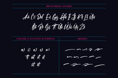 Austtone - Brush Font Product Image 11