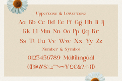 Serene Bliss - Modern Branding Font Product Image 11