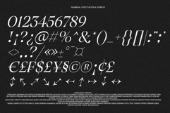 The Taylor Belle | Elegant Feminine Serif Display Product Image 11