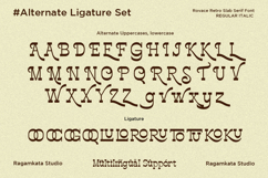 Rovace - Retro Slab Serif Font Product Image 11