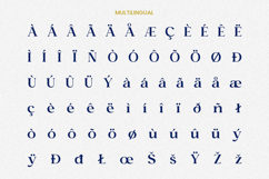 Veneza - Modern Serif Font Product Image 10