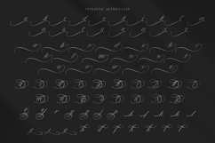 Berseka - Calligraphy Script Font Product Image 11