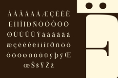 Qogua - Stylish Elegant Serif Font Product Image 11