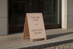 ED BImoni Product Image 11